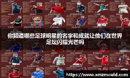 你知道哪些足球明星的名字和成就让他们在世界足坛闪耀光芒吗