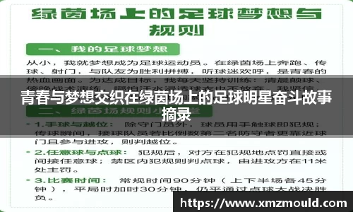 青春与梦想交织在绿茵场上的足球明星奋斗故事摘录